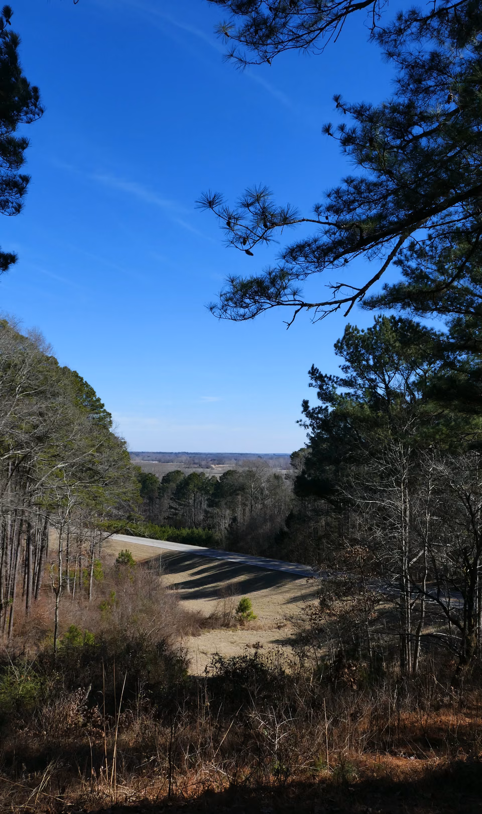 Natchez Ancient Trail Park Road · Twenty-Mile Valley Viewpoint Northeast of Tupelo