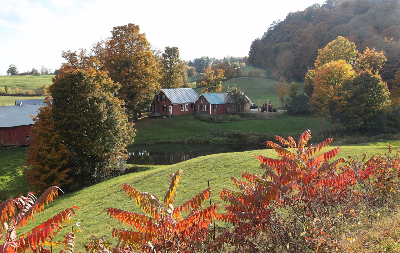 Reading · Jenne Farm in autumn