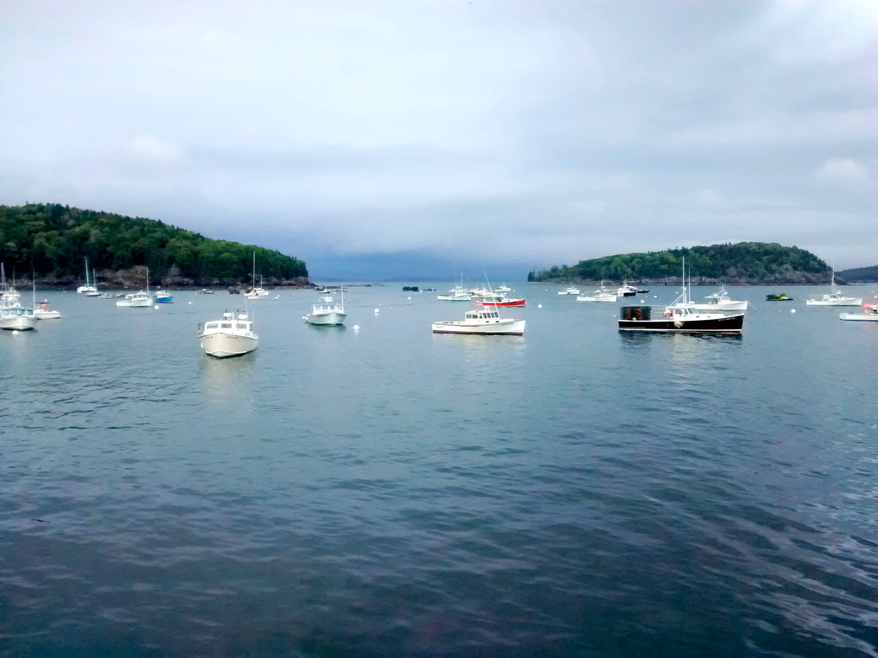 Lobster boats in Bar Harbor · A bay that remains a workplace