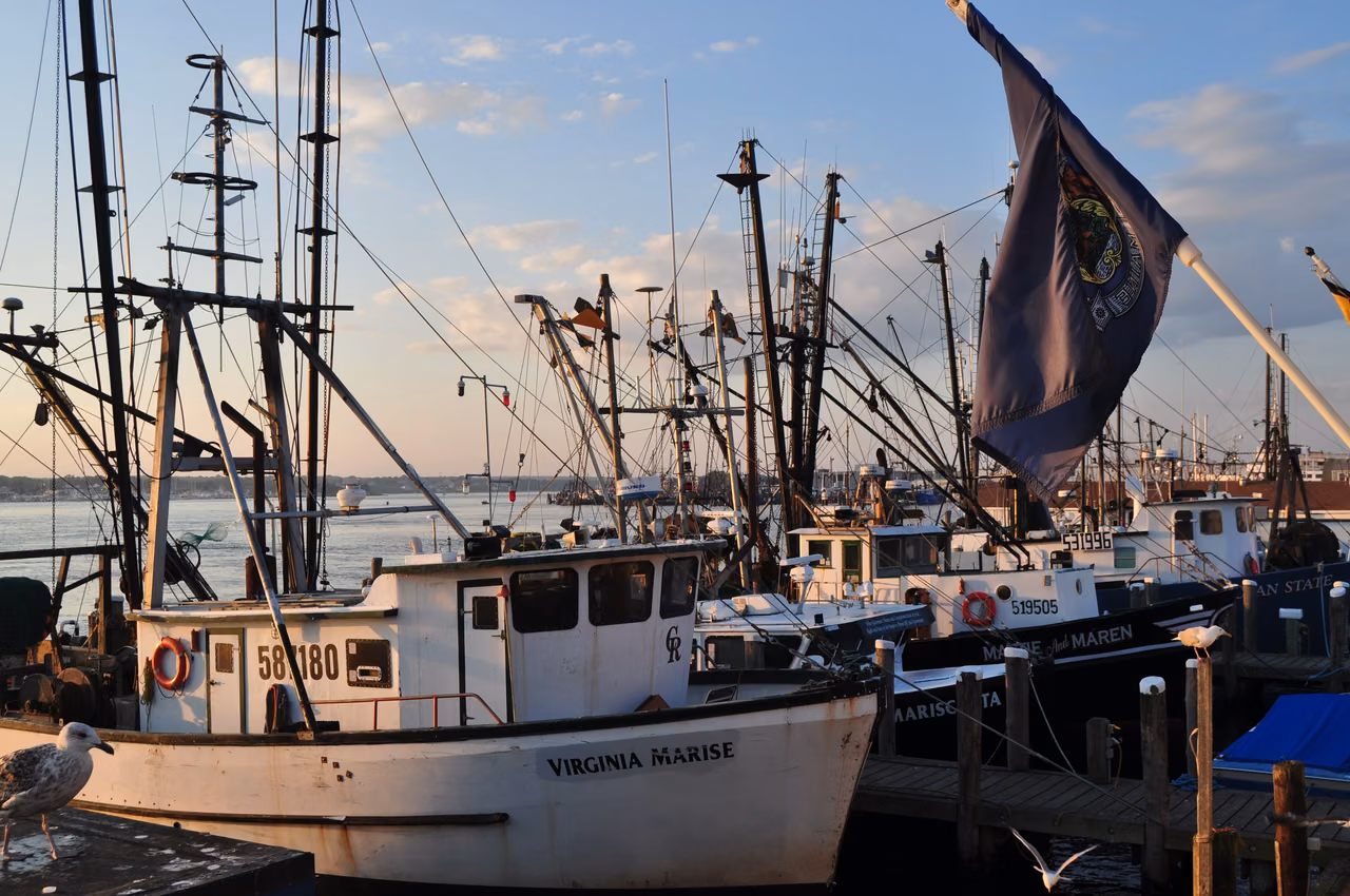 Port of Galilee · Lobster boats at their moorings