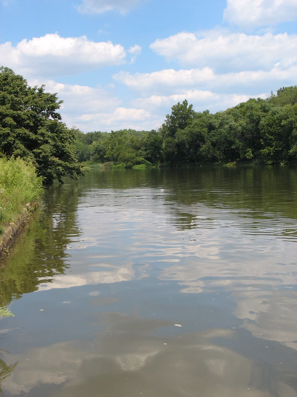 Anacostia River · Green banks and open water