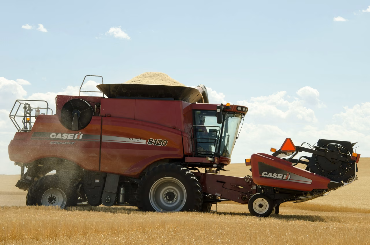 Farm near Beach · Winter wheat harvest