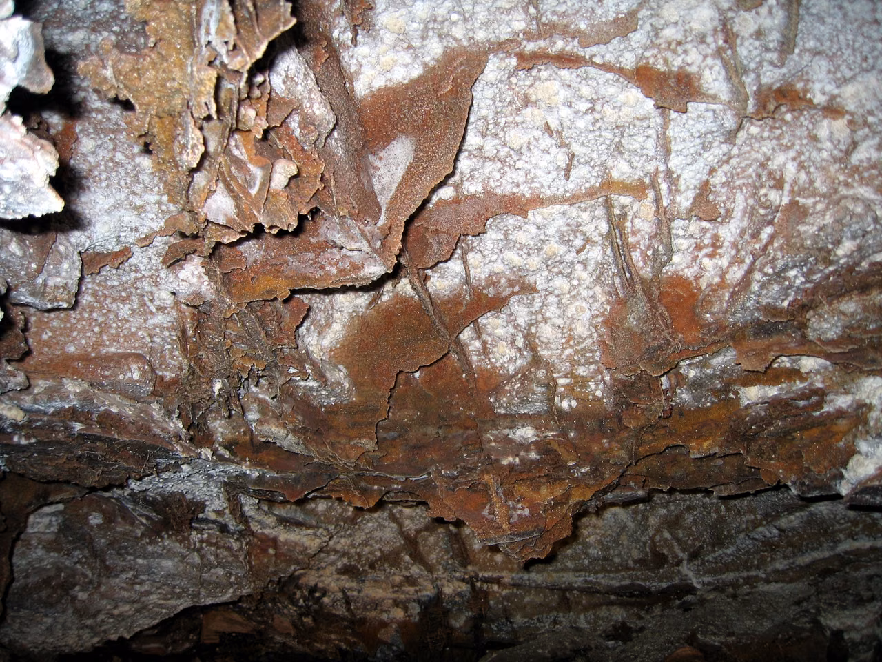 Wind Cave National Park · Calcite boxwork on the cave walls