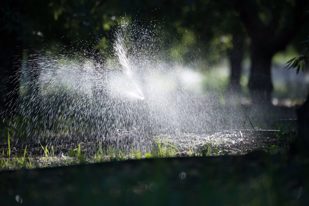 California orchards: Micro Irrigation and Surface Mulching Management