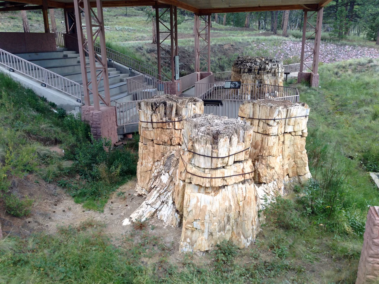 Florissant Fossil Beds National Monument · Petrified Redwoods Stumps