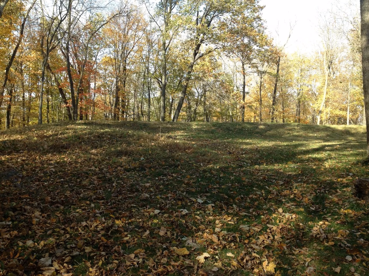 Effigy Mounds National Monument · A bear-shaped mound in woodland