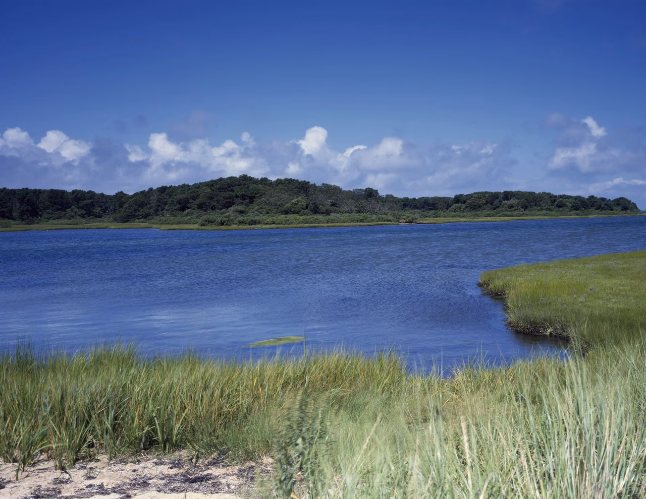 Near Beaufort · Salt marshes and tidal creeks
