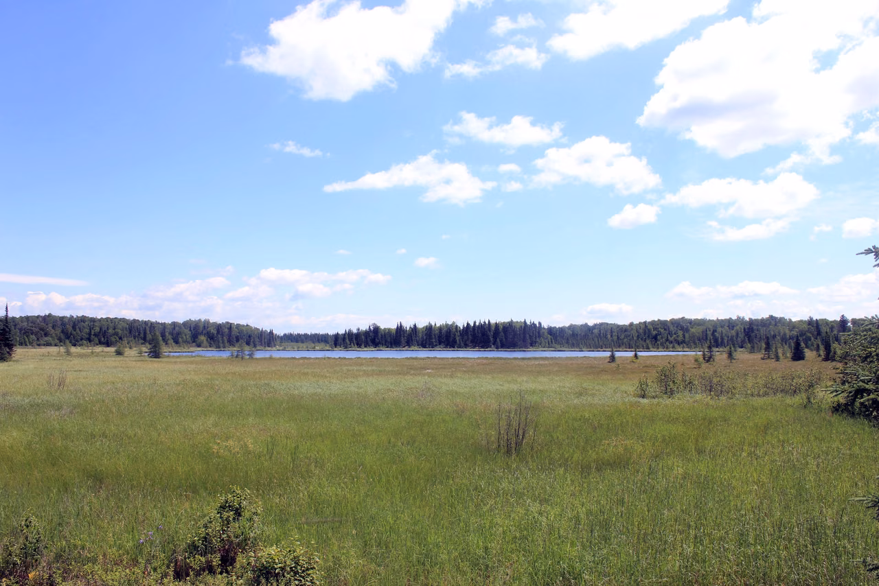 Voyageurs National Park · Wetlands, lakes and forests
