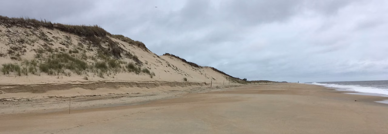 Cape Henlopen State Park · Beach and Atlantic Ocean