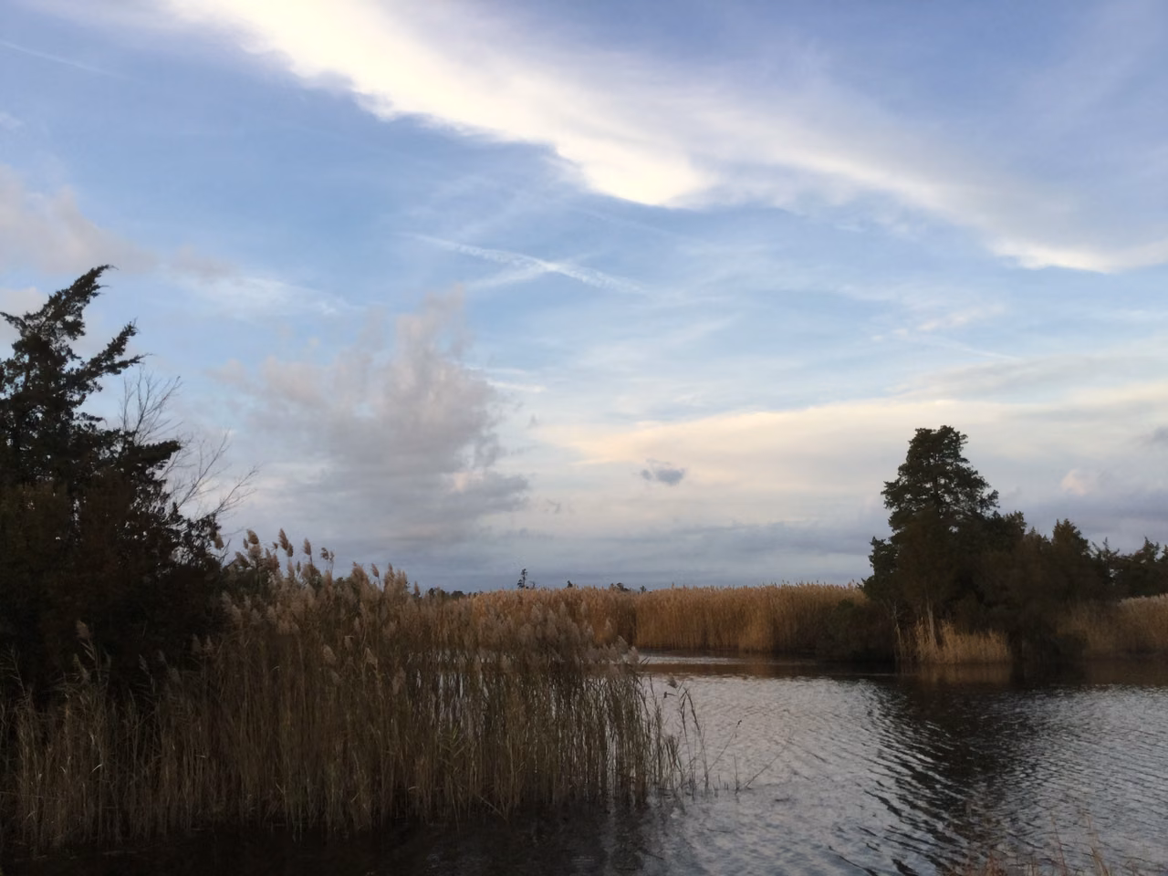Southern New Jersey · Landing Creek near Gloucester Landing