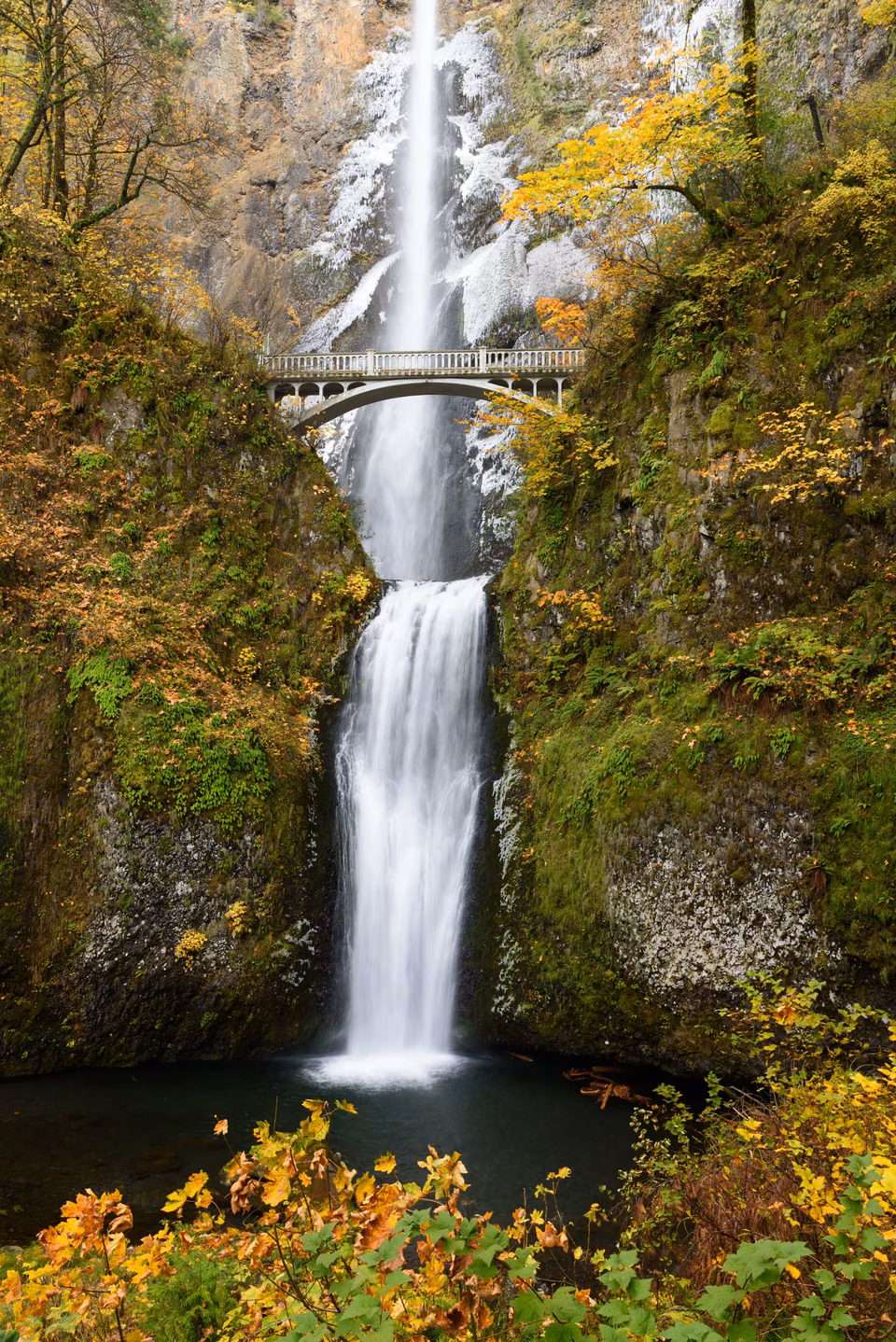 Multnomah Falls · Water descending over basalt cliffs