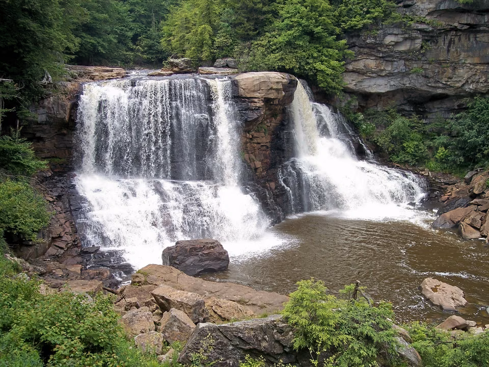 Blackwater Falls · Amber water in the forest
